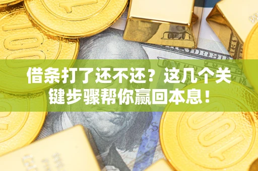 济南借条打了还不还？这几个关键步骤帮你赢回本息！