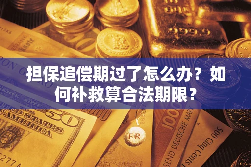 济南担保追偿期过了怎么办？如何补救算合法期限？